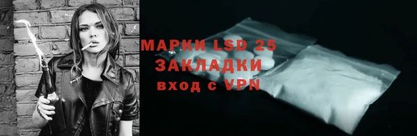 индика Алексеевка