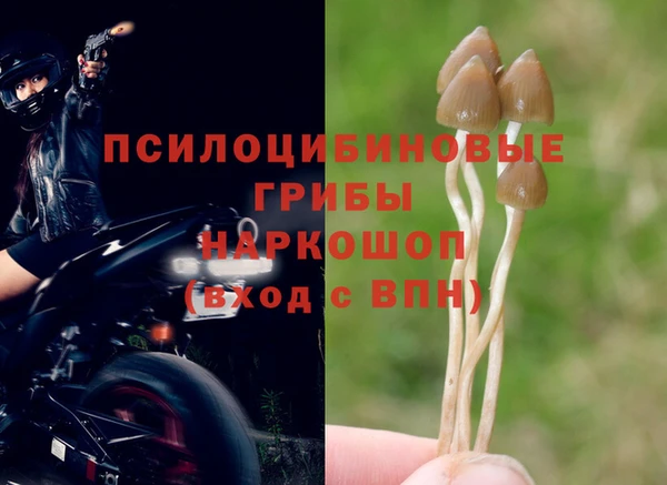 ешки Абаза