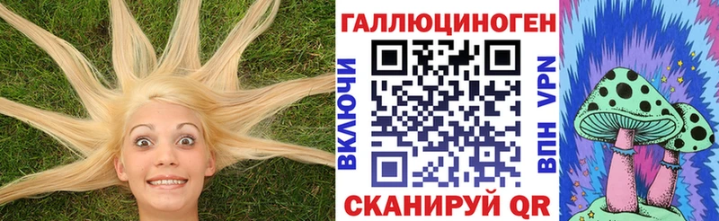 площадка формула  Судогда  Псилоцибиновые грибы ЛСД  наркотики 